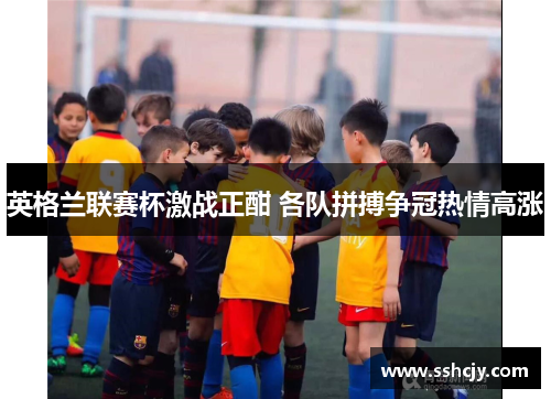 英格兰联赛杯激战正酣 各队拼搏争冠热情高涨