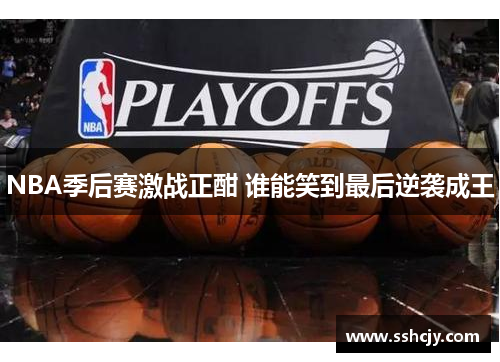 NBA季后赛激战正酣 谁能笑到最后逆袭成王