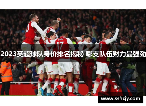 2023英超球队身价排名揭秘 哪支队伍财力最强劲