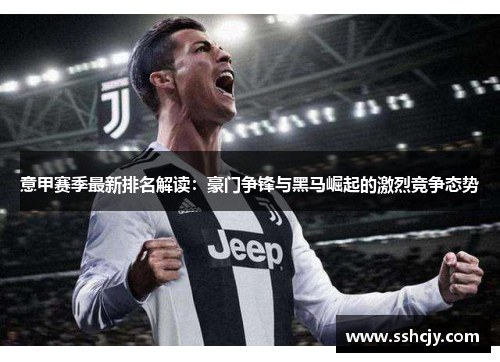 意甲赛季最新排名解读：豪门争锋与黑马崛起的激烈竞争态势